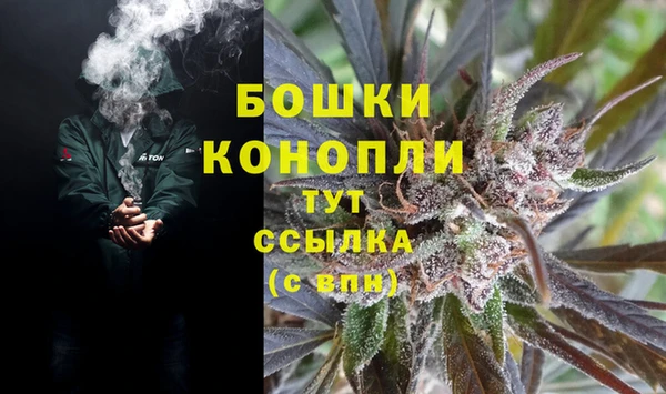 стаф Бугульма