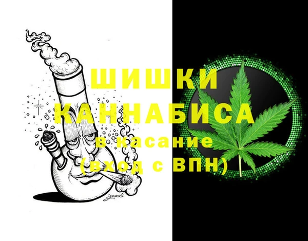 стаф Бугульма