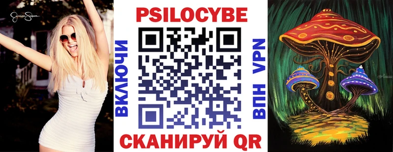 Галлюциногенные грибы Psilocybe  купить   Коряжма 